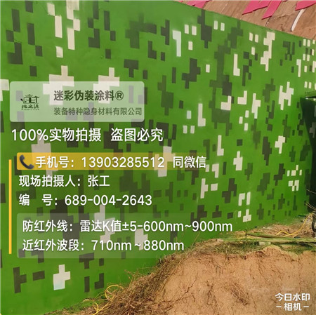 青海星空迷彩漆，夏令营训练,数码迷彩作训墙,围墙